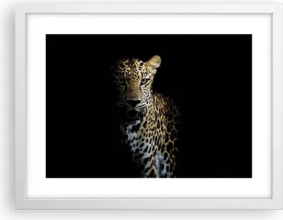 Produktbild von Gerahmtes Poster - Weißer Rahmen - Schattig Leopard Panther - 40x30 cm - Wand Bild - Wanddeko - Wandbilder - Kunstposter - Wandposter - Bilderrahmen - Bilder - Kunstdruck - P2WAA40x30-4585