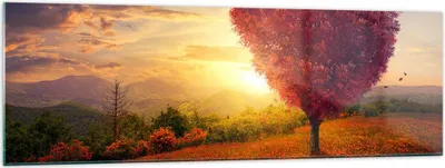 Produktbild von Bilder auf glas - Baum Wiese Blume - 160x50cm - Glasbilder - Wandbilder - Kunstdruck - zum Aufhängen bereit - Wanddekoration aus Glas - Glas Bilder - Wandbild auf Glas - Einteilig - GAB160x50-3790