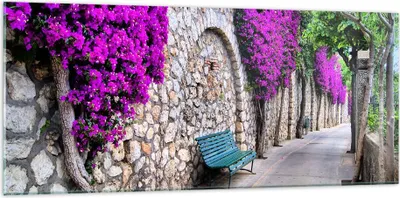 Produktbild von Bilder auf glas - Pflanzen Bank Straße Sommer - 120x50cm - Glasbilder - Wandbilder - Kunstdruck - zum Aufhängen bereit - Wanddekoration aus Glas - Glas Bilder - Wandbild auf Glas - GAB120x50-2790