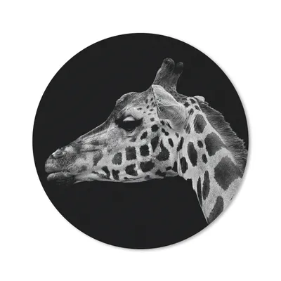 Produktbild von MuchoWow® Mauspad Mousepad Tiere - Giraffe - Schwarz - Weiß 20x20 cm - Mousepads - Maus Mat - Pad - Mausunterlage - Schreibtischmatte