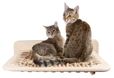 Immagine prodotto di Amaca sospesa per gatti - Realizzata in legno con corda di canapa - Dimensioni: 58x45x20 cm