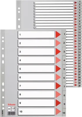 Immagine prodotto di Esselte Polypropylene Indices