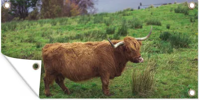 Produktbild von MuchoWow® 160x80 cm Outdoor-Poster Gartendeko Sichtschutz Garten Poster für den Garten  Schottische Highlander - Gras - Wasser - Tiere