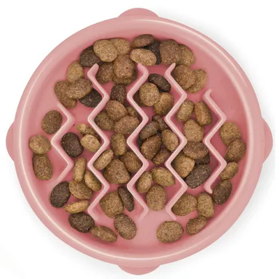 Image de Outward Hound Fun Feeder Slo Bowl, taille : ø 15, couleur : rose