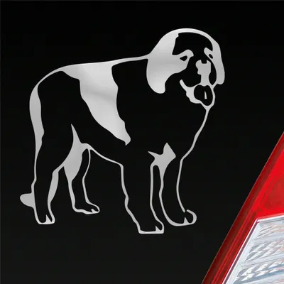 Produktbild von Auto Aufkleber Bernhardiner Dog Tier Hund 10x10 cm Silber Sticker Heckscheibenaufkleber