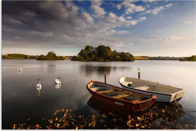 Produktbild von ARTland Wandbild Alu für Innen & Outdoor Herbstimpressonen am See Größe: 120x80 cm