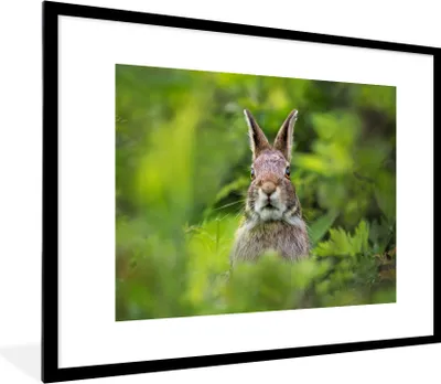Produktbild von MuchoWow® MuchoWow® Gerahmtes Poster Kaninchen - Gras - Grün 80x60 cm - Poster mit zchwarzem Bilderrahmen - Schlafzimmer-Dekorationen - Fotoposter