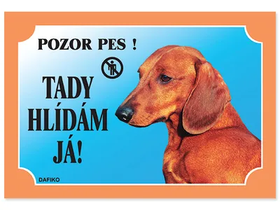Obrázok produktu pre Tabuľku sledujem tu! Jazvečík hladkosrstý 1ks