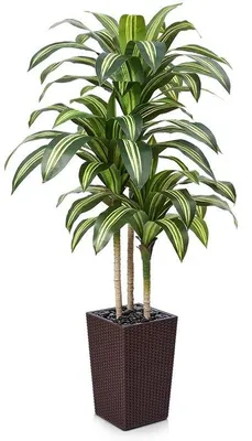 Image de Plante artificielle de 150 cm, marron, avec 57 feuilles et des pierres
