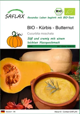 Produktbild von SAFLAX - BIO - Kürbis - Butternut - Cucurbita moschata - 6 Samen