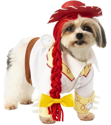 Productafbeelding van Rubies Disney Toy Story huisdierenkostuum, Jessie, maat S