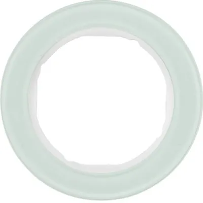 Immagine prodotto di Berker 10112009 Telaio in vetro, bianco polare Serie R.classic