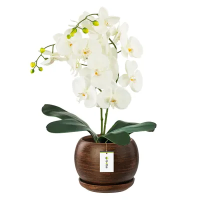Productafbeelding van Keramische bloempot "Koule" met onderzetter, donkerbruin, rond, glanzend, met drainageopening. Hoogte: 16 cm