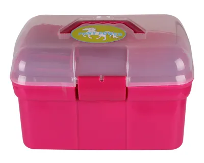 Produktbild von Pony Power Putzbox Fuchsia