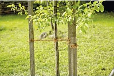 Produktbild von Gartenschnur FloraSelf Jute 250 m