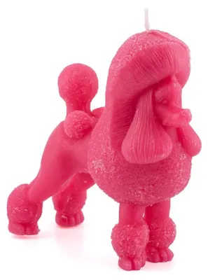 Immagine prodotto di Candela HomeBound, profumo di rosa