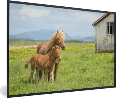 Produktbild von MuchoWow® MuchoWow® Gerahmtes Poster Pferde - Fohlen - Gebirge 30x20 cm - Poster mit zchwarzem Bilderrahmen - Kunstdruck - Bild-Poster