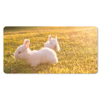 Produktbild von MuchoWow® Schreibtischunterlage Kaninchen - Baby - Weiß 80x40 cm - XXL Mauspad - Gaming Mauspad