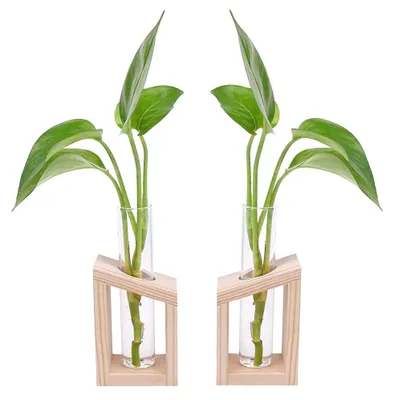 2er-Set Reagenzglasvase aus Holz, Hydrokultur, 13 cm