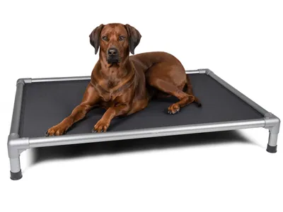 Produktbild von TrendPet HighBed Hochbett für Hunde grau (108x80x18cm)