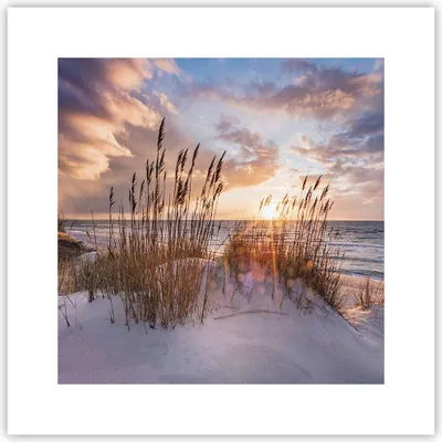 Produktbild von Poster - Poster ohne Rahmen - Westen auf der Strand - 30x30 cm - Wand Bild - Wanddeko - Wandbilder - Kunstposter - Wandposter - Bilder - Kunstdruck - Wanddekoration - Wandbild - P2XAC30x30-4710