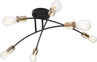 Produktbild von Globo Lighting Deckenleuchte Metall schwarz, 6x E27