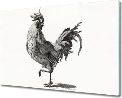 Produktbild von Coloray Schneidebrett Herdabdeckplatte 80x52 cm Kochplattenabdeckung Hackbrett Küchenbrett - Tier Vogel Huhn