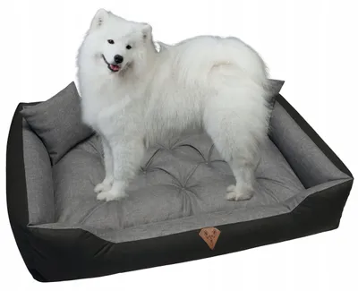 Produktbild von Dogs4life Basic Hundebett wasserdicht 100x75cm