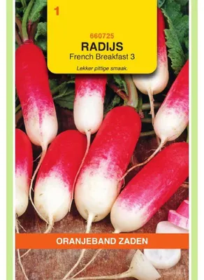 Zdjęcie produktu dla Oranjeband Radies "Flamboyant" - opakowanie z nasionami (3-1)
