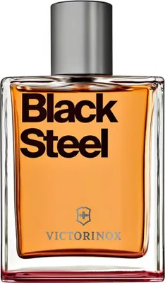 Zdjęcie produktu dla Swiss Army - Black Steel EDT 100ml