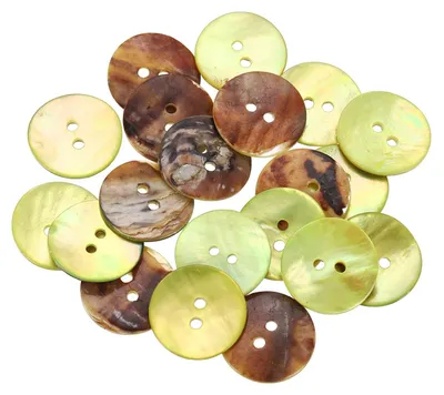 Produktbild von Muschelkopf-Knöpfe, 20 mm, mit 2 Löchern – Perlmutt-Blazerknöpfe (20 Stück)