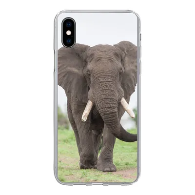 Produktbild von MuchoWow® Handyhülle Schutzhülle Hülle für iPhone Xs Elefant - Tiere - Gras - Natur Silikon Softcase Handy Hülle - Handytasche