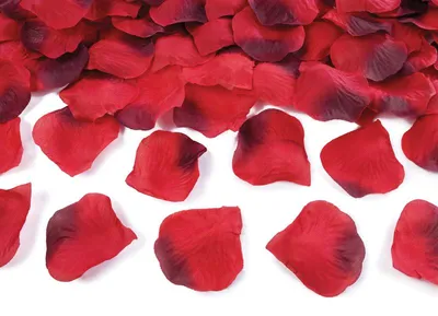 Produktbild von PartyDeco PLRD500-007B-KARTON, Dekoration, Rot, 500 Stück(e)