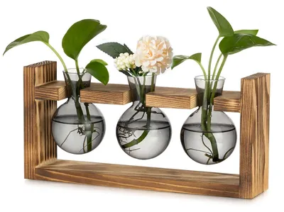 Image de Omgoods - Support en verre pour affichage, avec cadre en bois, idéal pour la décoration intérieure