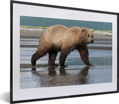 Produktbild von MuchoWow® MuchoWow® Gerahmtes Poster Bär - Strand - Wasser 40x30 cm - Poster mit zchwarzem Bilderrahmen - Bilderrahmen - Poster im Rahmen