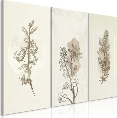 Produktbild von Vlies Leinwandbild - Herbarium (3 Parts) 90x60 cm Blumen b-A-0582-b-e