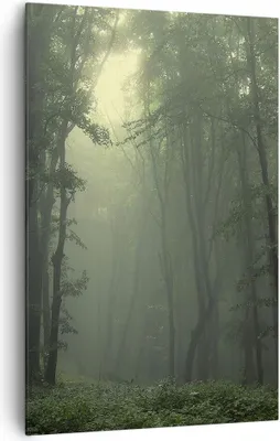 Produktbild von Bild auf Leinwand - Leinwandbild - Einteilig - Wald Nebel Baum - 80x120cm - Wand Bild - Wanddeko - Wandbilder - Leinwanddruck - Kunstdruck - Wanddekoration - Leinwand bilder - Wandbild - PA80x120-3543