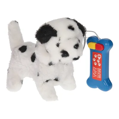 Image de Chiot changeant