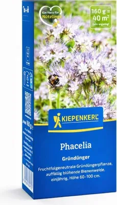 Produktbild von Kiepenkerl Gründünger Phacelia für ca. 40 m²