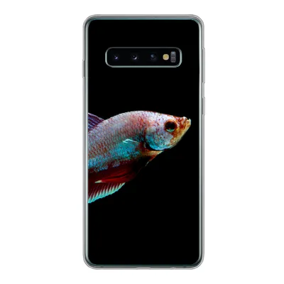 Produktbild von MuchoWow® Handyhülle Schutzhülle Hülle für Samsung Galaxy S10 Fische - Tiere - Licht Silikon Softcase Handy Hülle