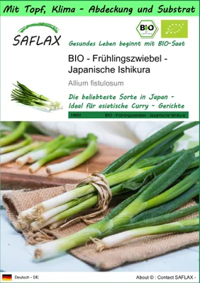 Produktbild von SAFLAX Garden to go - BIO - Frühlingszwiebel - Japanische Ishikura - Allium fistulosum - 150 Samen - Mit Topf, Klima - Deckel und Anzuchtsubstrat