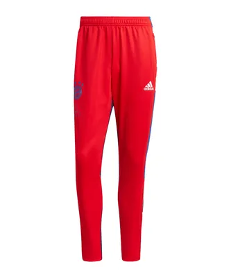 Produktbild von FC Bayern München Human Race Trainingshose