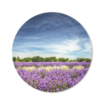 Produktbild von MuchoWow® Mauspad Mousepad Lila und weiß blühender Lavendel auf einem Feld 40x40 cm - Mousepads - Maus Mat - Pad - Mausunterlage - Schreibtisch Accessoires
