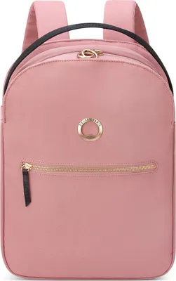 Image de DELSEY PARIS sac à dos de loisirs sac à dos pour ordinateur portable Securstyle Backpack 11,97L Ash Rose vieux rose