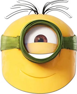 Image de Minions - Masques - Masque Au Naturel