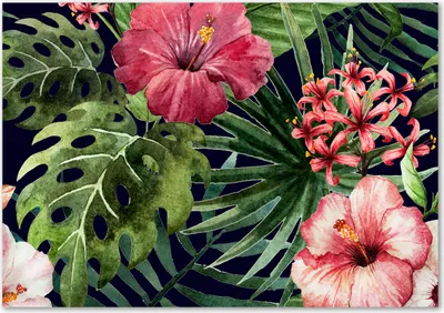 Produktbild von Tulup® Leinwandbild - 100x70 cm - Wandkunst - Drucke auf Leinwand - Leinwanddruck  - Blumen & Pflanzen - Rosa - Tropische Blumen