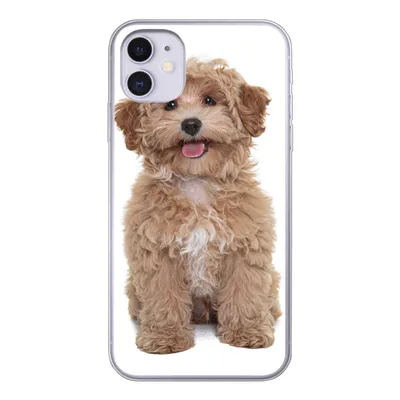 Produktbild von MuchoWow® Handyhülle Schutzhülle Hülle für iPhone 11 Hund - Haustiere - Fell Silikon Softcase Handy Hülle - Handytasche