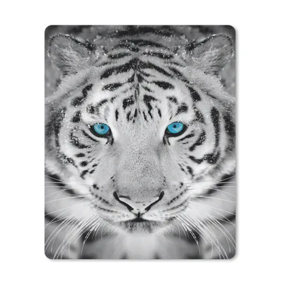 Produktbild von MuchoWow® Mauspad Mousepad Tiere - Tiger - Augen - Blau - Schwarz und weiß 30x40 cm - Mousepads - Maus Mat - Pad - Mausunterlage - Mausmatten