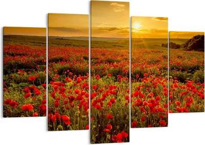 Produktbild von Bild auf Leinwand - Leinwandbild - Mohn Blume Wiese - 150x100cm - Wand Bild - Wanddeko - Leinwanddruck - Bilder - Kunstdruck - Wanddekoration - Leinwand bilder - Wandkunst - EA150x100-3643