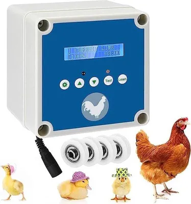Image de Porte basculante automatique, trappe basculante automatique sans coulisse | En aluminium, sans coulisse, pour poulailler